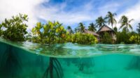 6 Resort Mewah Raja Ampat: Surga Tropis Para Sultan (Tarif Puluhan Juta!)