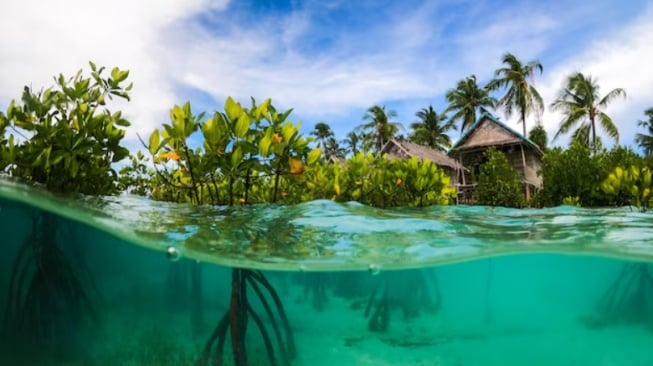 6 Resort Mewah Raja Ampat: Surga Tropis Para Sultan (Tarif Puluhan Juta!)