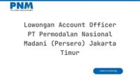 Lowongan Account Officer PT Permodalan Nasional Madani (Persero) Jakarta Timur
