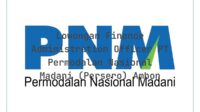 Lowongan Finance Administration Officer PT Permodalan Nasional Madani (Persero) Ambon