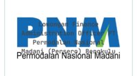 Lowongan Finance Administration Officer PT Permodalan Nasional Madani (Persero) Bengkulu