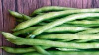 Protein Tinggi? Kacang-kacangan Alternatif Sehat Gantikan Daging