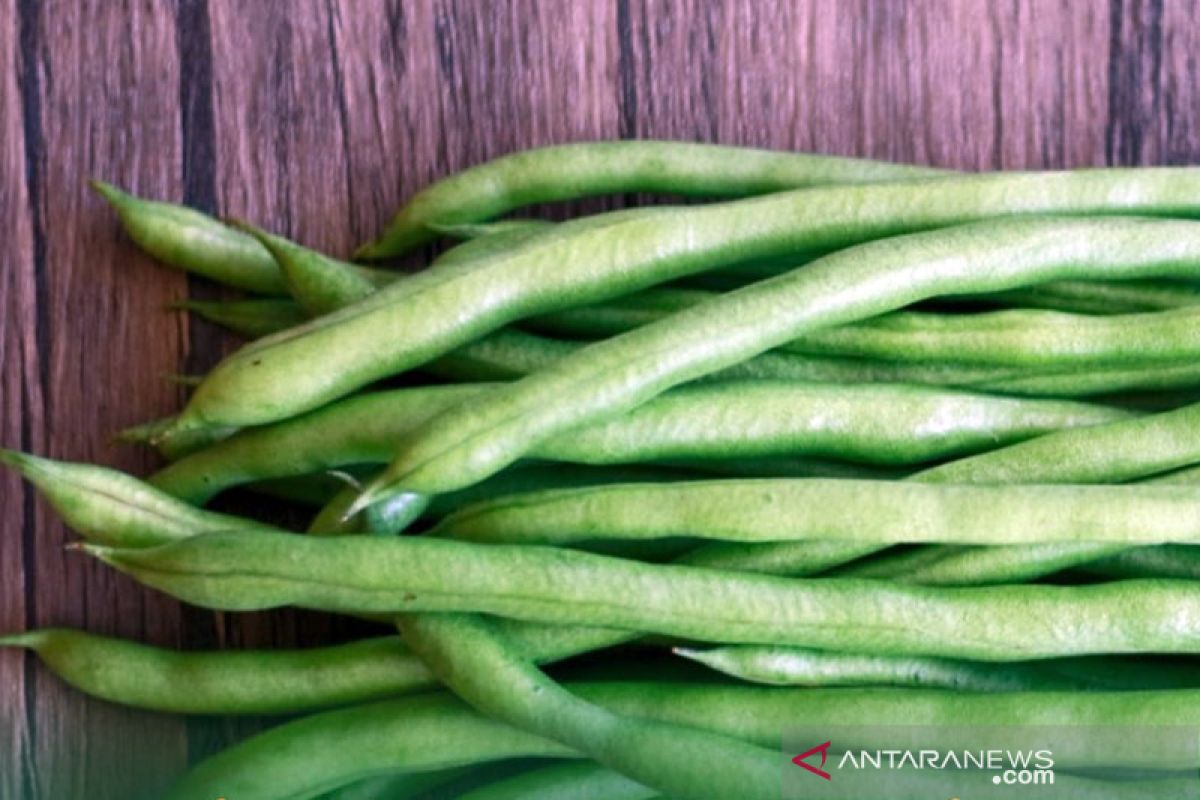 Protein Tinggi? Kacang-kacangan Alternatif Sehat Gantikan Daging