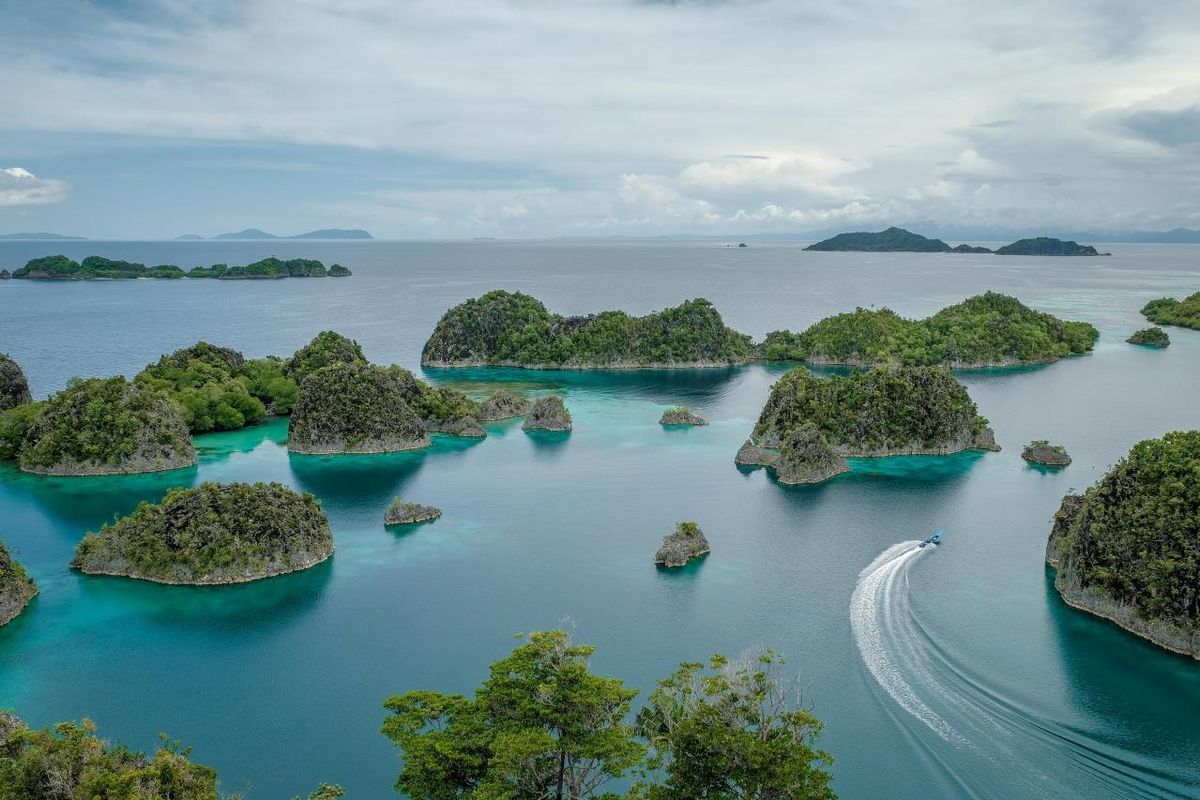 Pulau Gag Aman? Gubernur Bantah Kerusakan Lingkungan Parah