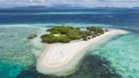 Pulau Misterius Muncul Mendadak di Samudra Pasifik, Lokasi Mengejutkan