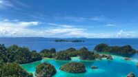 Video Viral Raja Ampat: AI, WNA Marah, & Fakta Mengejutkan
